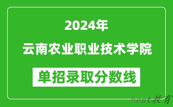 2024年云南农业职业技术学院单招录取分数线