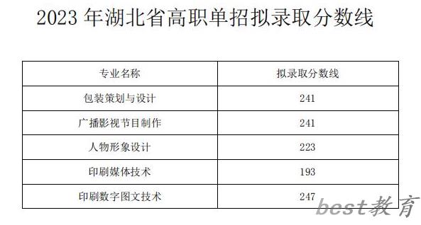 2024年武汉信息传播职业技术学院单招录取分数线