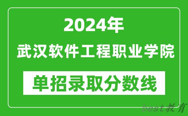 2024年武汉软件工程职业学院单招录取分数线