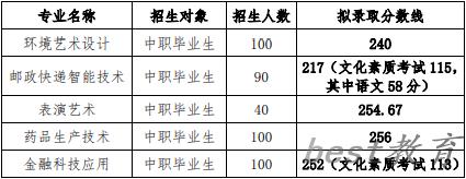 2024年长江职业学院单招录取分数线