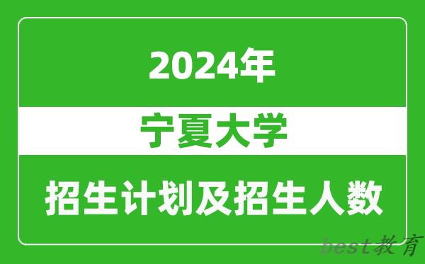 宁夏大学2024年在河南的招生计划和招生人数