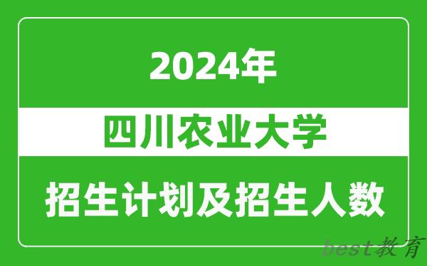 四川农业大学2024年在河南的招生计划和招生人数