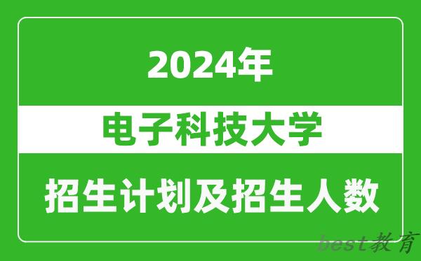 电子科技大学2024年在河南的招生计划和招生人数