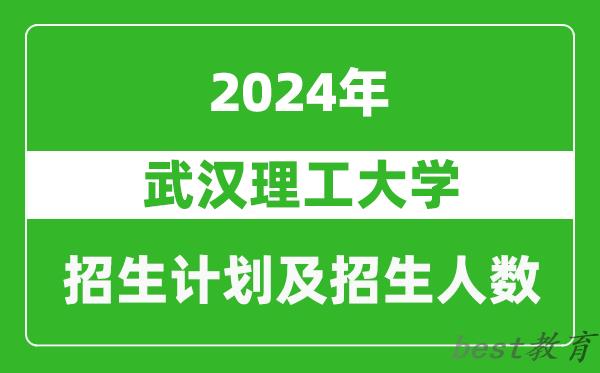 武汉理工大学2024年在河南的招生计划和招生人数