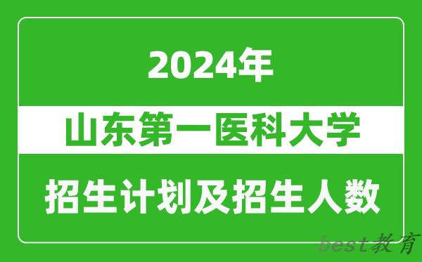 山东第一医科大学2024年在河南的招生计划和招生人数