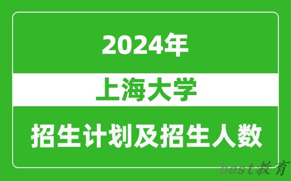 上海大学2024年在河南的招生计划和招生人数