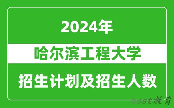 哈尔滨工程大学2024年在河南的招生计划和招生人数