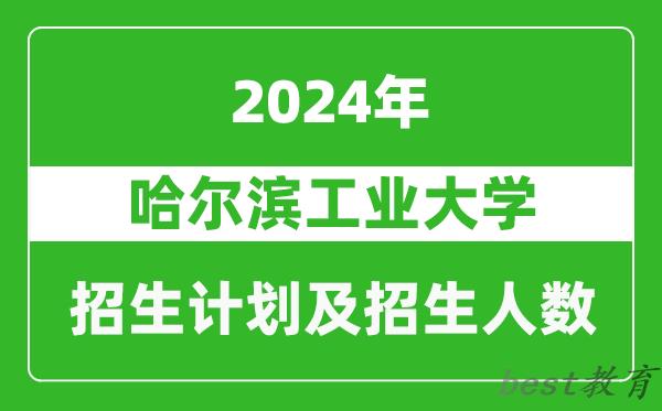 哈尔滨工业大学2024年在河南的招生计划和招生人数