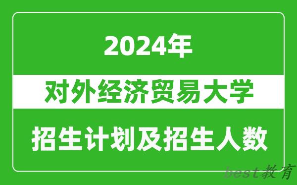 对外经济贸易大学2024年在河南的招生计划和招生人数