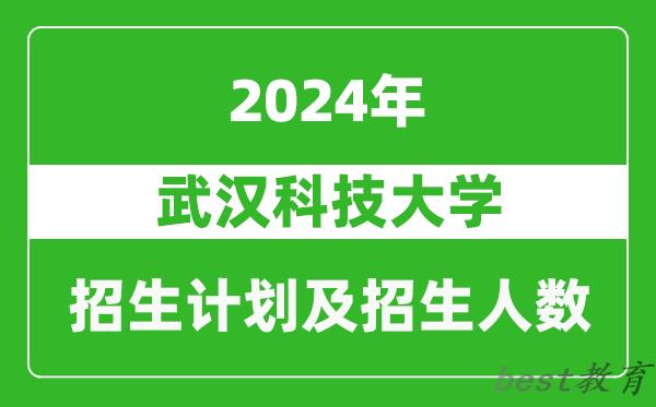 武汉科技大学2024年在天津的招生计划及招生人数