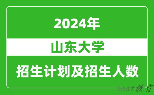 山东大学2024年在天津的招生计划及招生人数