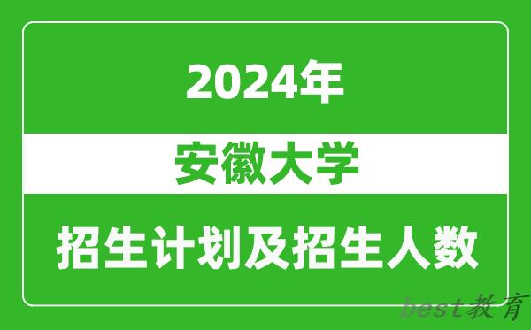 安徽大学2024年在天津的招生计划及招生人数