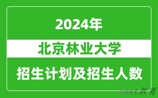 北京林业大学2024年在天津的招生计划及招生人数