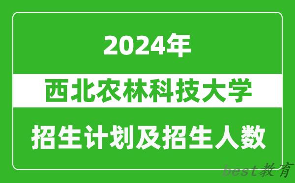 西北农林科技大学2024年在重庆的招生计划及招生人数