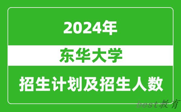 东华大学2024年在重庆的招生计划及招生人数