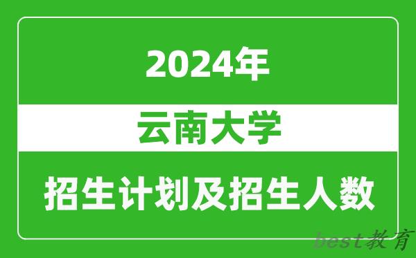 云南大学2024年在安徽的招生计划及招生人数