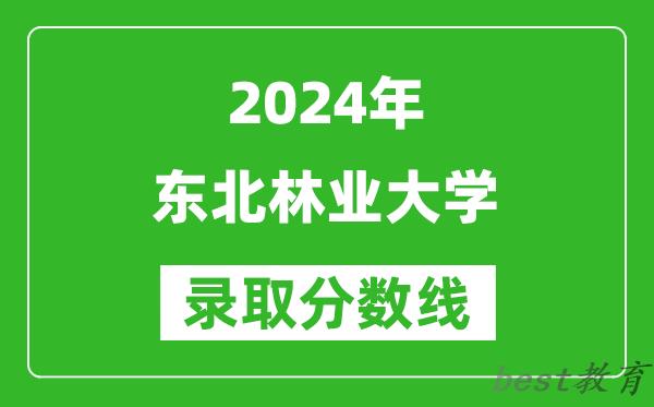 2024上海高考多少分可以上东北林业大学（含分数线、位次）