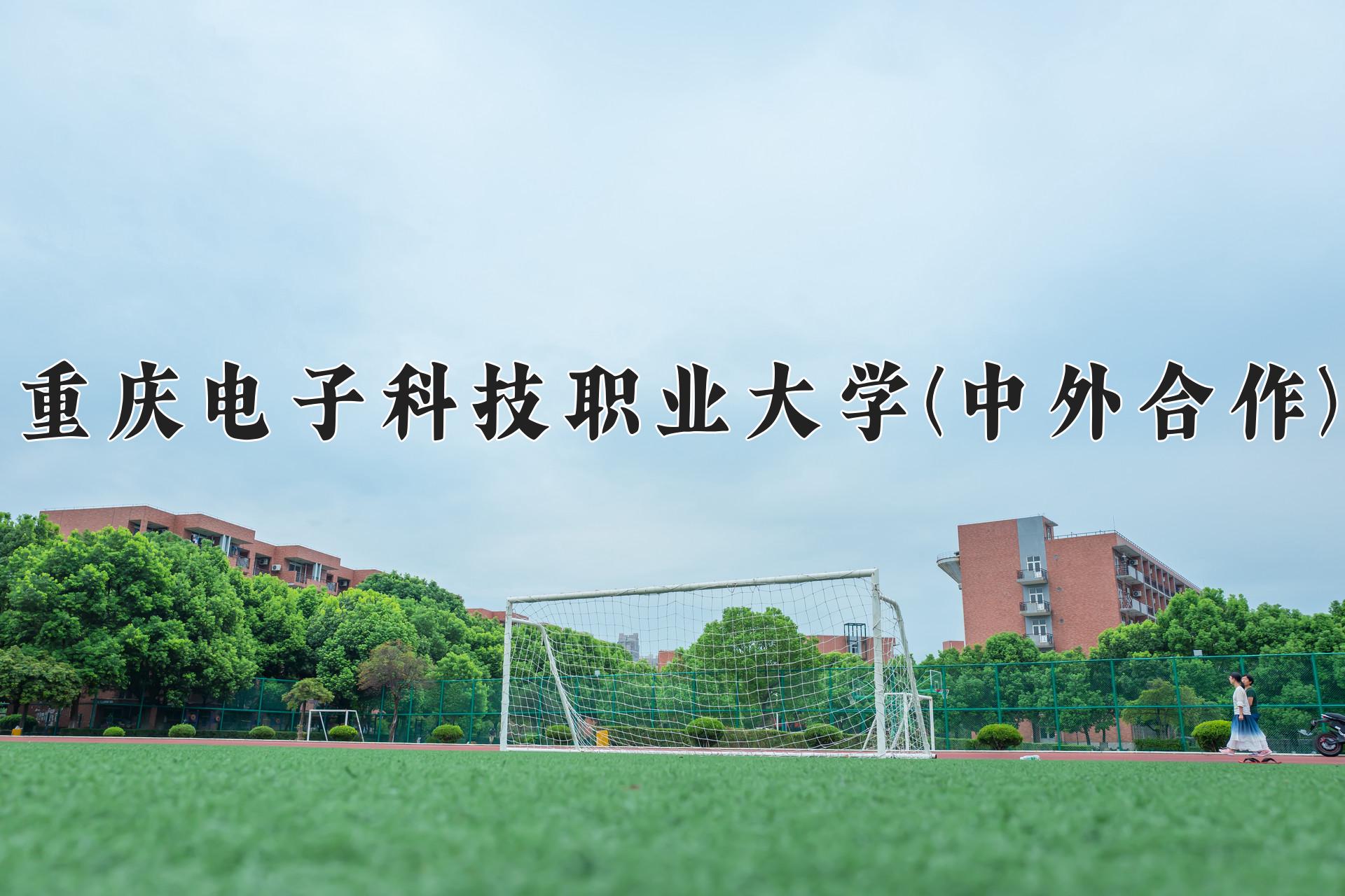 重庆电子科技职业大学(中外合作)