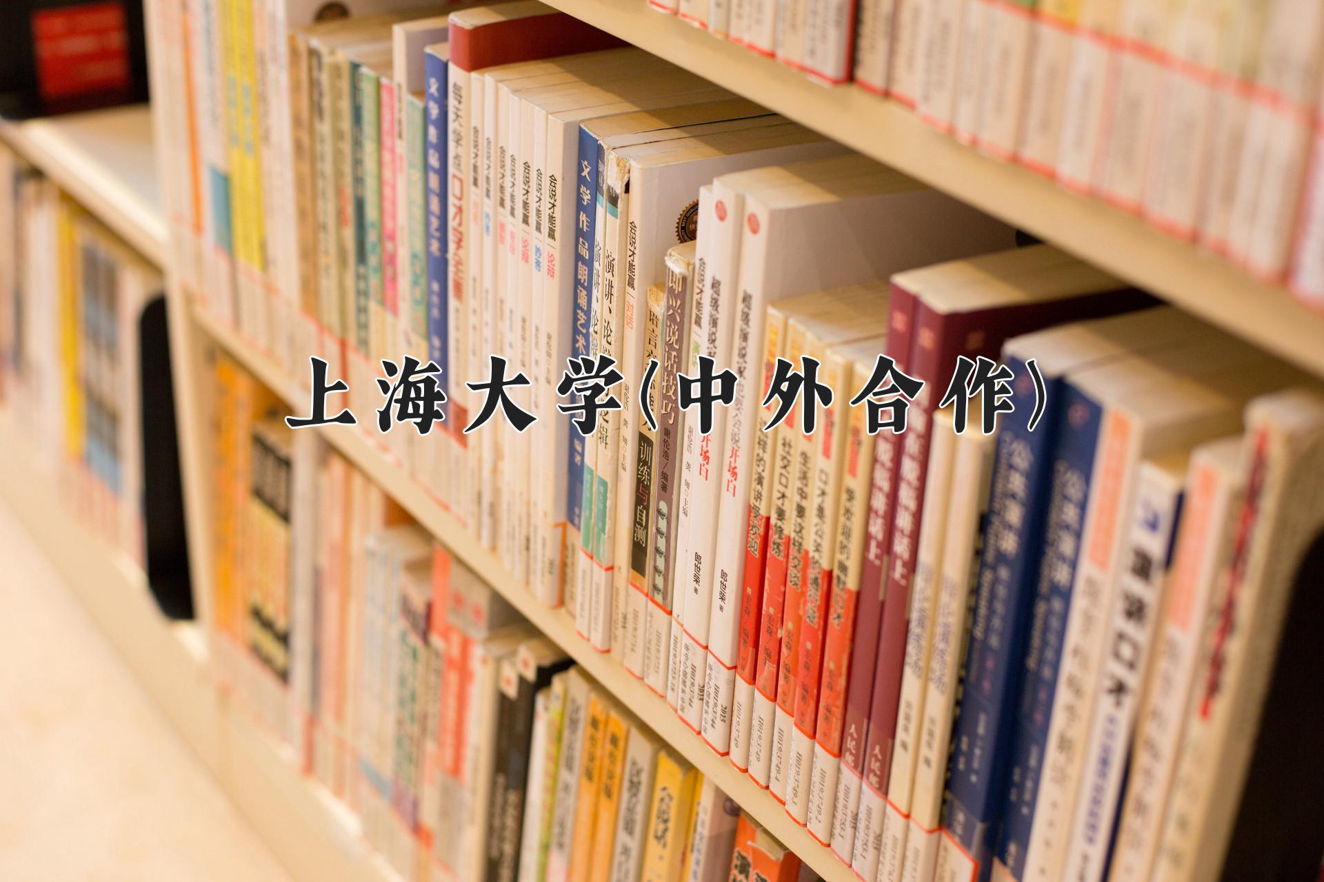 上海大学(中外合作)