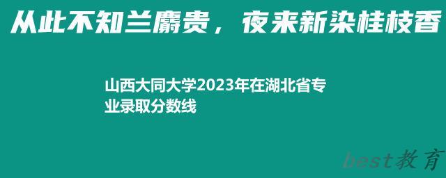 山西大同大学2024年高考在湖北专业录取分数线