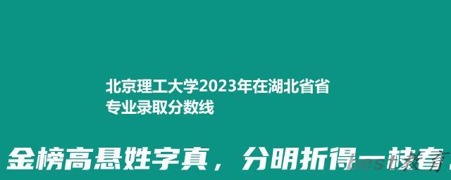 北京理工大学2024年高考在湖北省省专业录取分数线