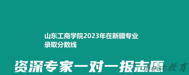 山东工商学院2024年高考在新疆专业录取分数线