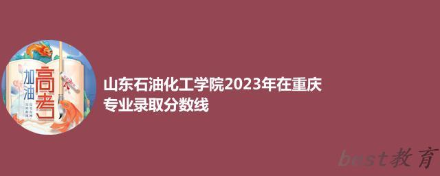 山东石油化工学院2024年高考在重庆专业录取分数线