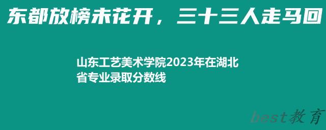 山东工艺美术学院2024年高考在湖北省录取分数线