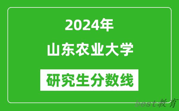 2024年山东农业大学研究生分数线一览表（含2023年历年）