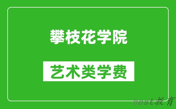 攀枝花学院艺术类学费多少钱一年（附各专业收费标准）