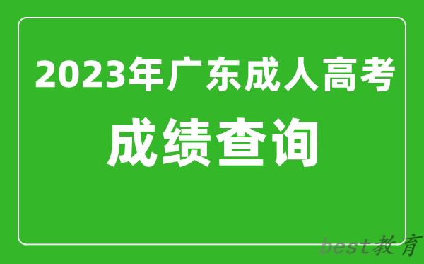 2023年广东成人高考成绩查询系统入口,广东成考查分网站