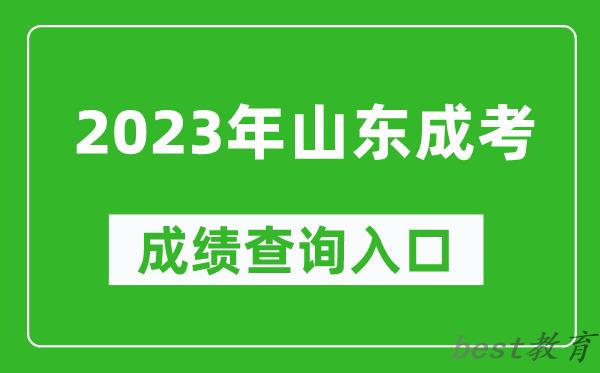 2023年山东成考成绩查询入口网址（https://www.sdzk.cn/）