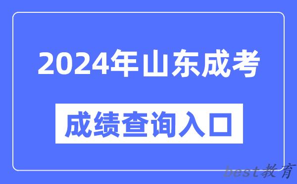 2024年山东成考成绩查询入口网址（https://www.sdzk.cn/）