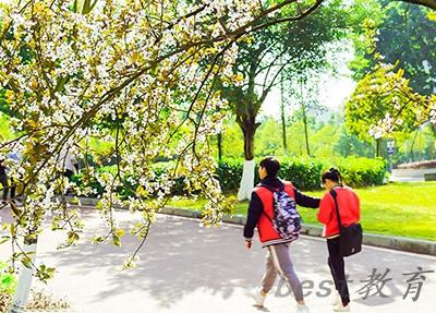 绵阳广播电视大学