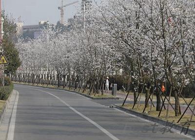 成都市恒辉技工学校