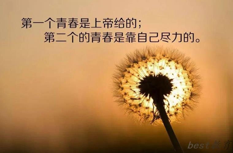 2024年内江民办汽修学校有哪些