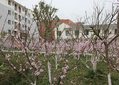 泸州技师学院2025年招生简章