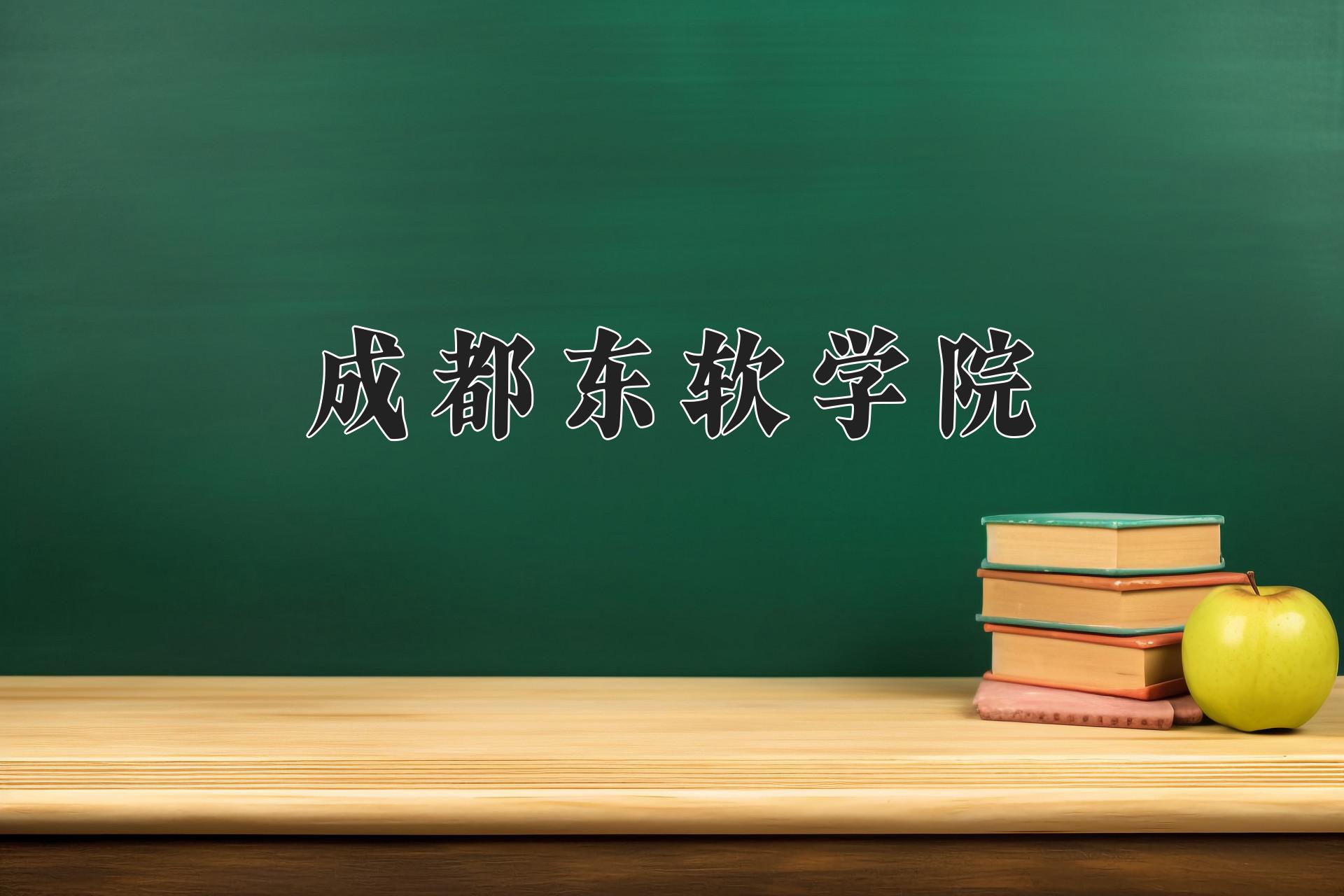 成都东软学院校训图片