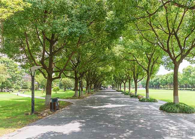 四川航天职业技术学院市场营销专业涉及哪些课程