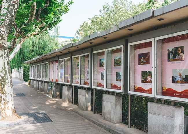 成都2023年女生读计算机学校学什么专业好