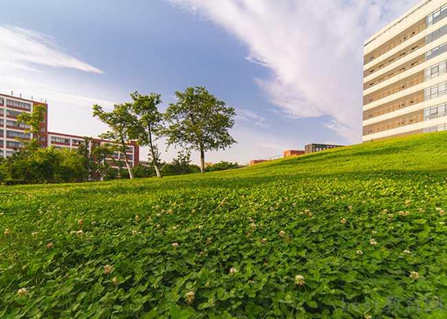 成都五月花高级技工学校艺术设计专业好不好学