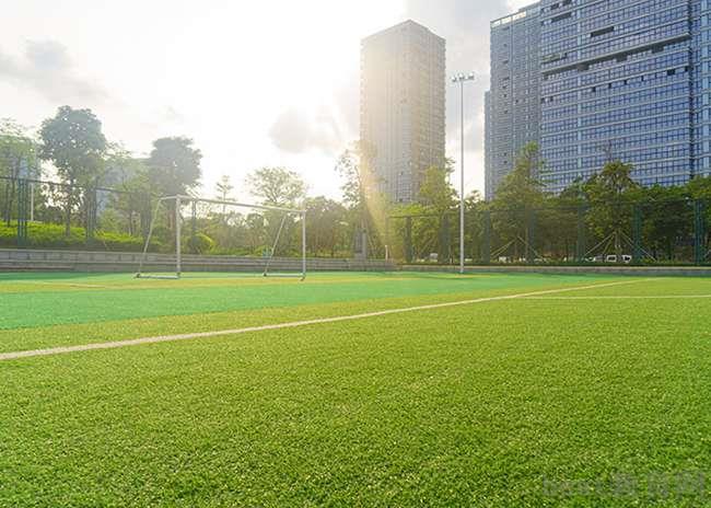 绵阳实验高级中学地址在哪里